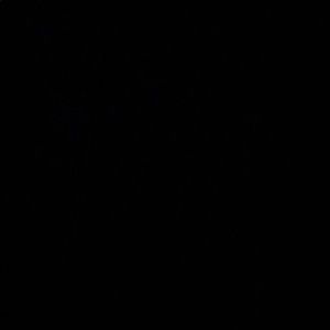 Meet your Posher, Max